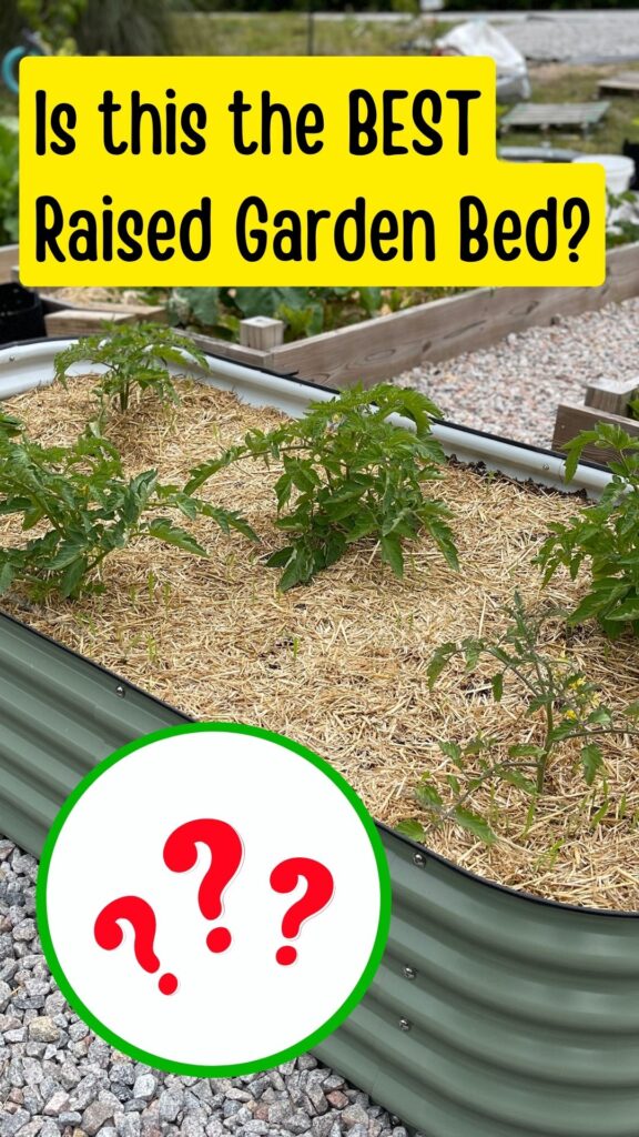 Raised bed gardening review